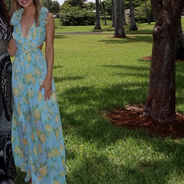The Athena Cassini Maxi Dress - Blue And Floral